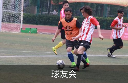 了解球友会